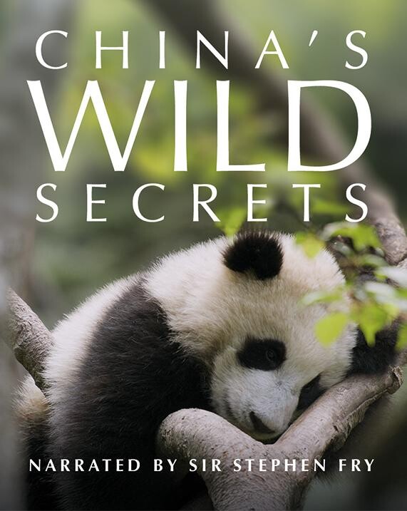 Chinas.Wild.Secrets.S01.1080p.HDLight.x265.HuN-MaTeK