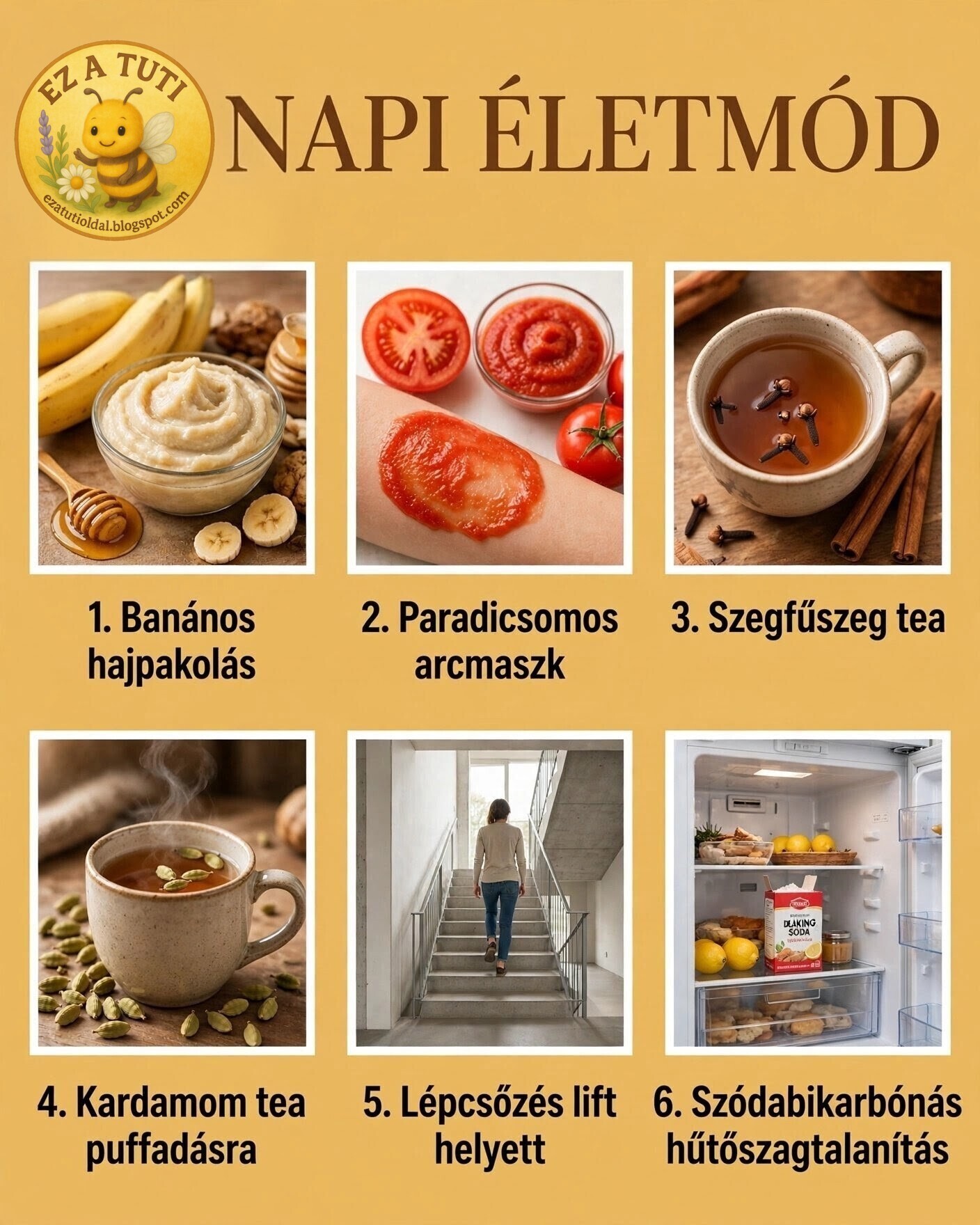 Kép